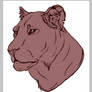 Lioness head