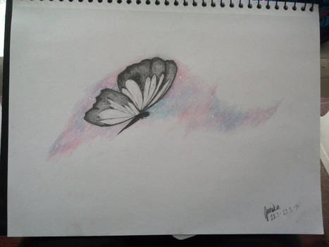 Butterfly :3