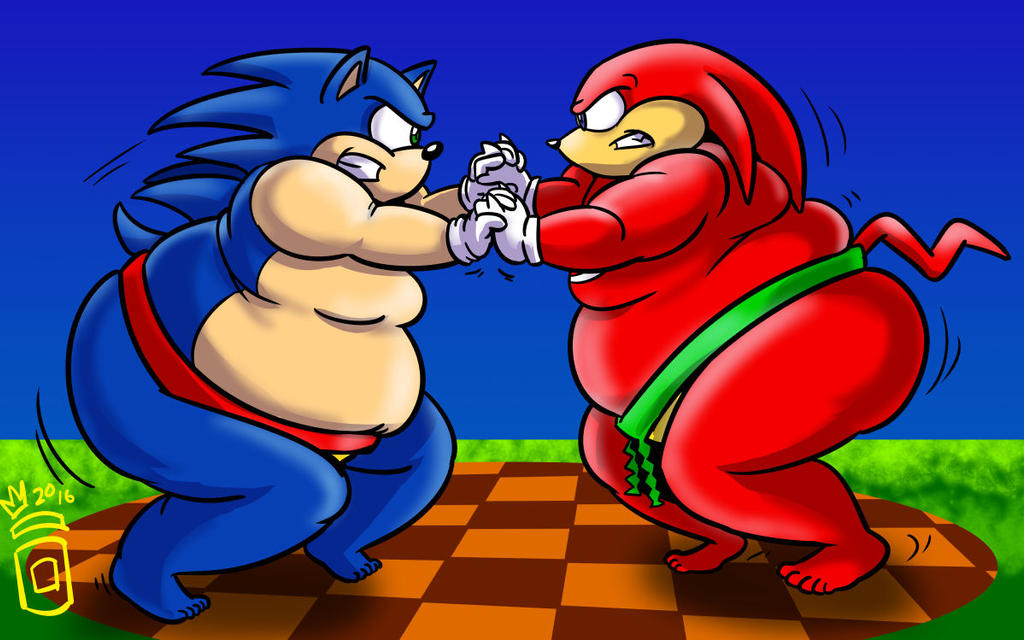 Knuckles Matching COMM: Sonic and Knuckles Sumo Match by RoyalJellySandwich on DeviantArt