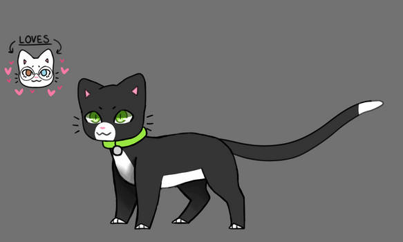 bf's catsona