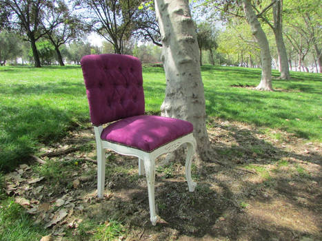 Chair Poly-velvet