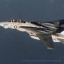 Grumman  F-14  Tomcat