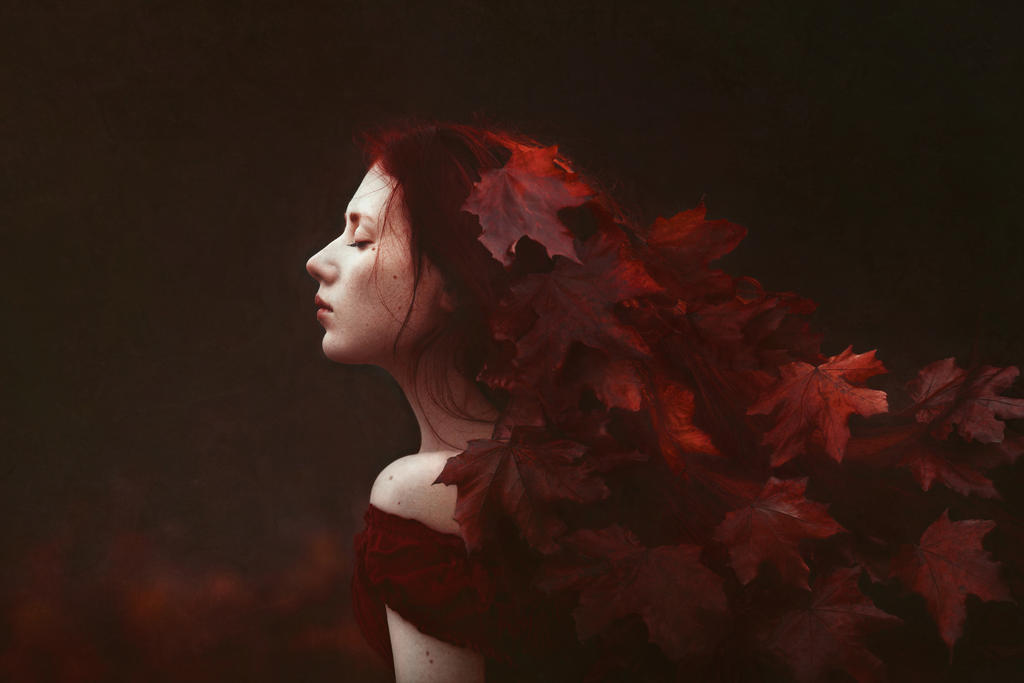 Red autumn by EvaWald Red autumn by EvaWald