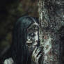 Listen to the forest