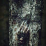Overgrowing by the forest