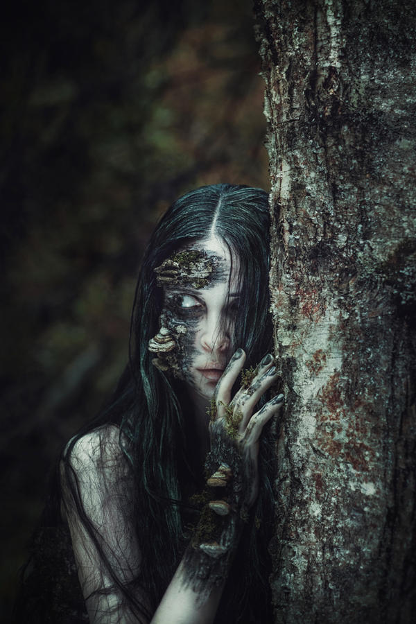 Forest creature
