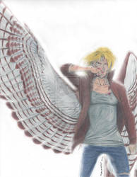 I Am Maximum Ride