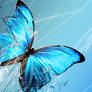 Blue Butterfly