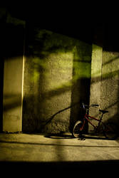 The bike at the night