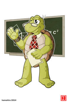 Teacher Tortoise