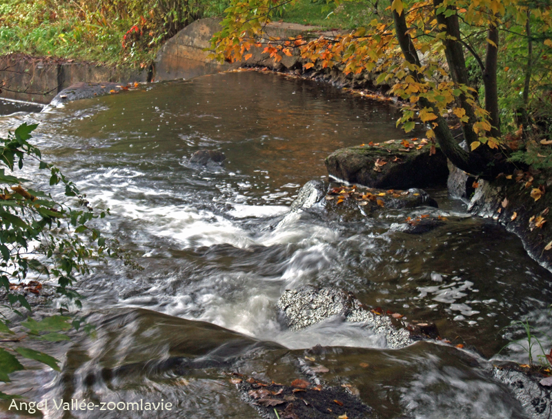 Riviere d'octobre