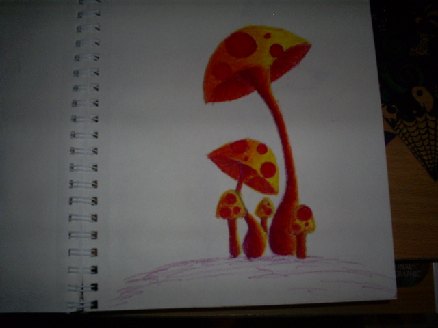 Shrooms