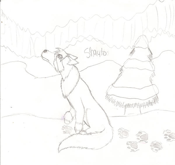 shaylo by MidKnightxStar on DeviantArt