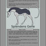 Splendens Gene