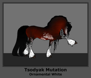 Tsodyak Mutation: Ornamental White