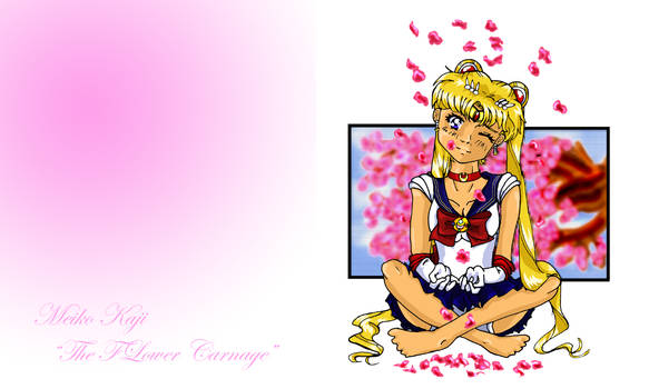 Oldschool SailorMoon wallpaper