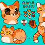 Peanut Butter Refsheet