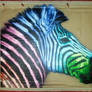 Rainbow zebra