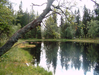 Pond on top of hill