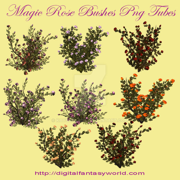 Magic Roses Draw Magic Roses Png Tubes by kayshalady on DeviantArt