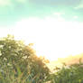 Crysis Sunset Dreamscene