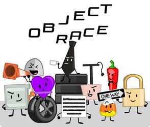 Object Race Season one cast