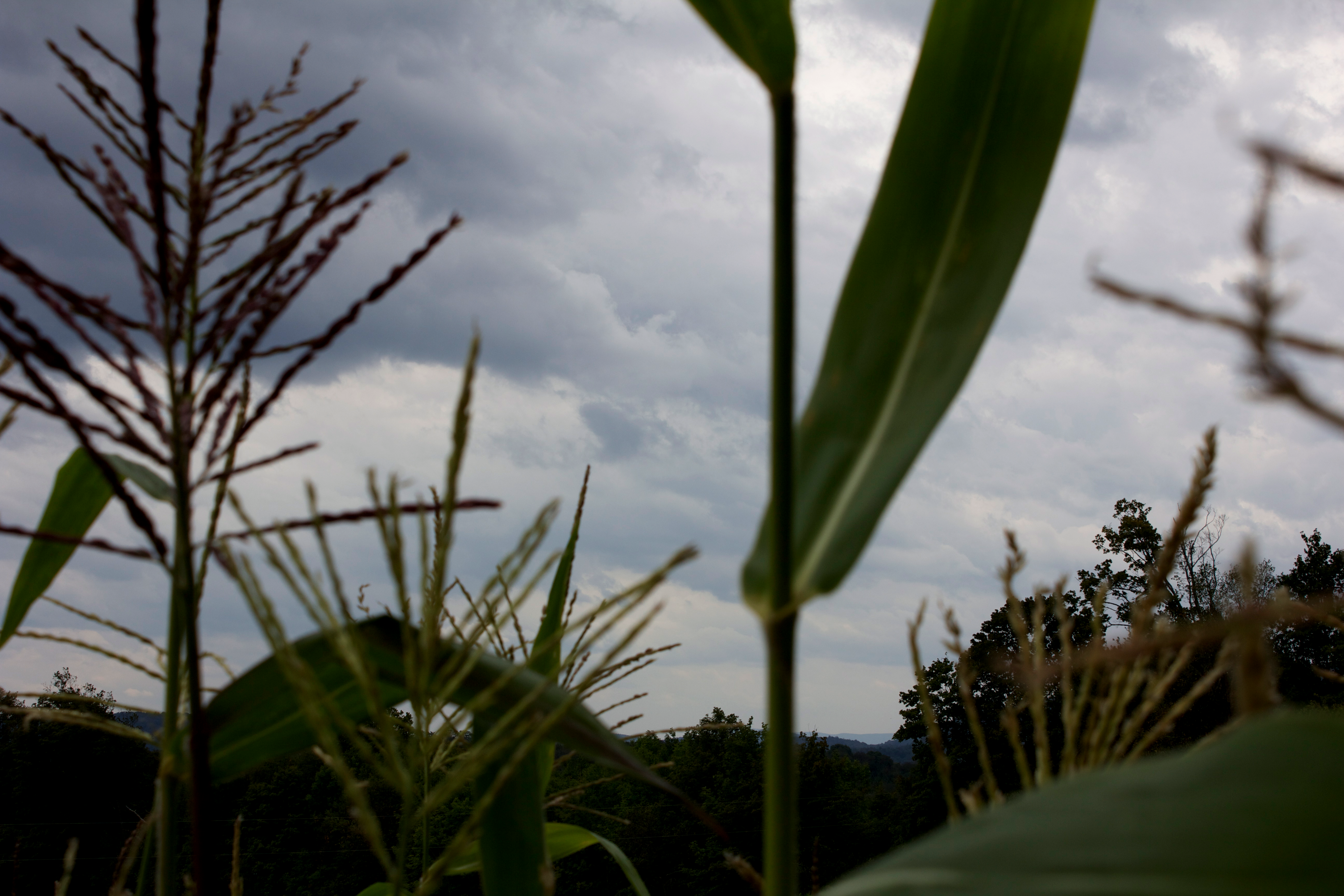 Storms coming.