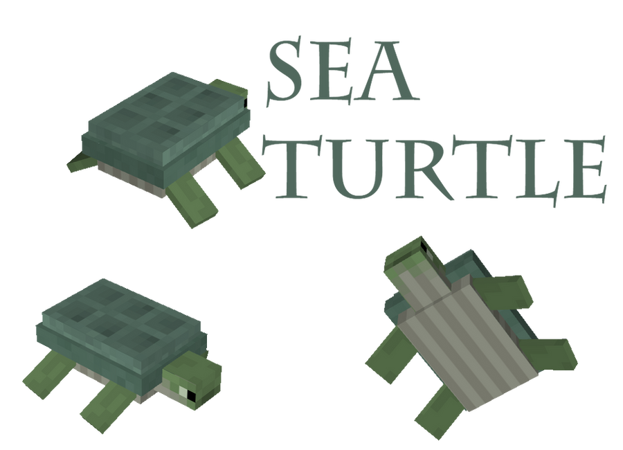Minecraftturtle Mob Minecraft Mob: Sea Turtle by Marcus123474 on DeviantArt