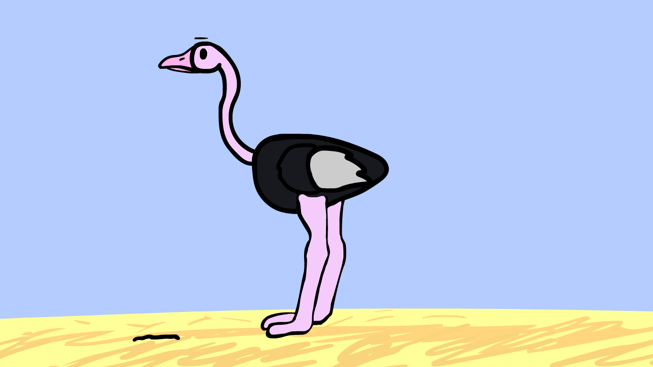 Ostrich Animation Ostrich Animated Gif
