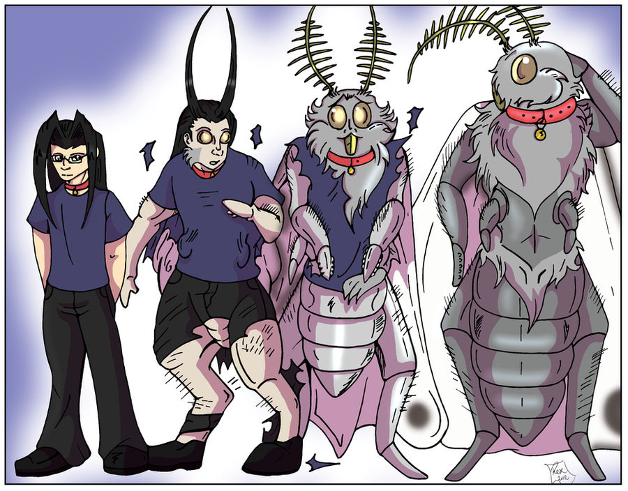 Human Insect Tf Commish-Moth Stage TF by Rex-equinox on DeviantArt