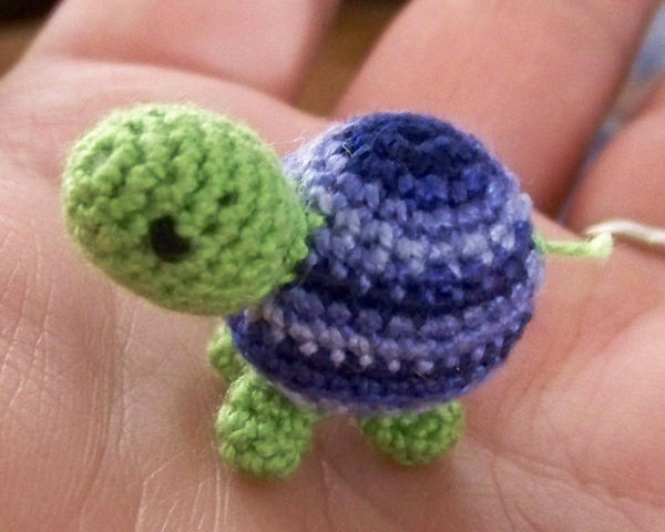 wee boy turtle