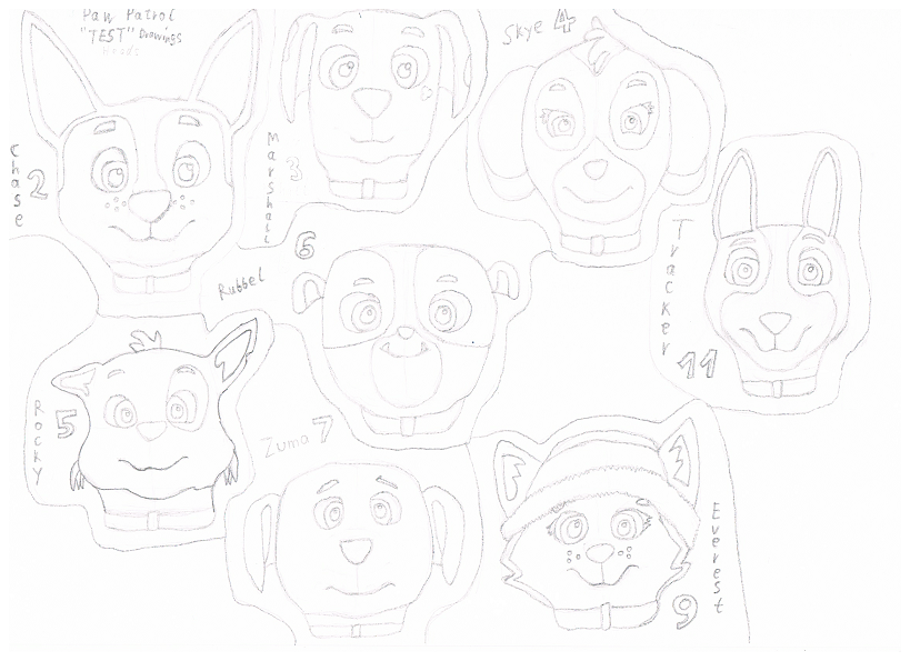 PAW Patrol Head Front Test Sketches