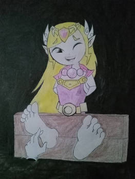 Toon Zelda tickled