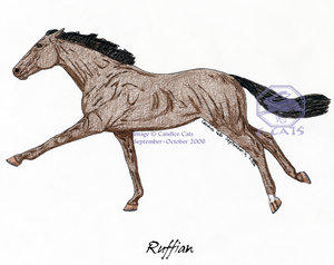 Deviantart Ruffian Ruffian by AnimalPlanetClub on DeviantArt