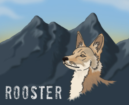 Introducing: Rooster