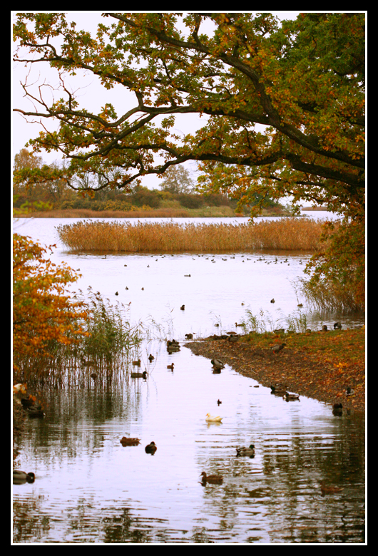 A taste of autumn