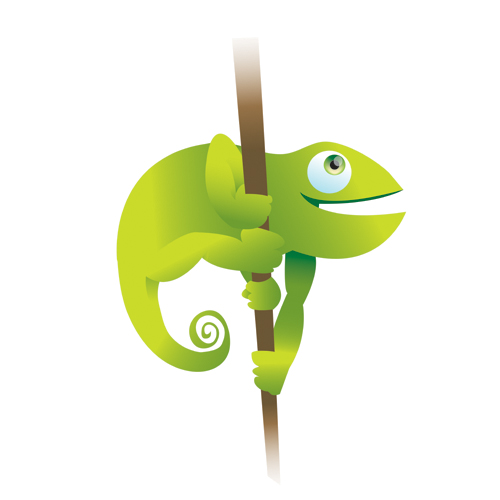 Rupee the chameleon