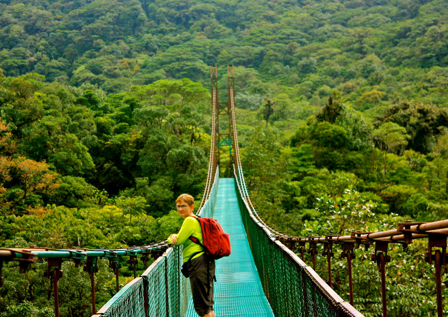 Cloud Forest Canopy Bridge