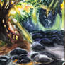 stream