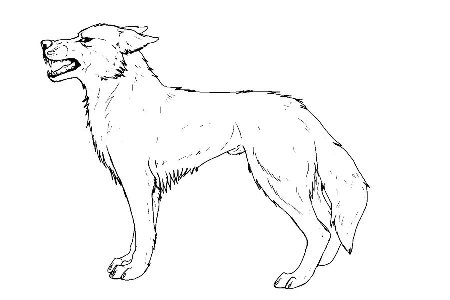Basic Wolf Lineart Wolf lineart free to use by boukei on DeviantArt