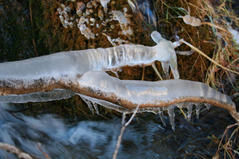 Iced Nature by lucat25 on DeviantArt