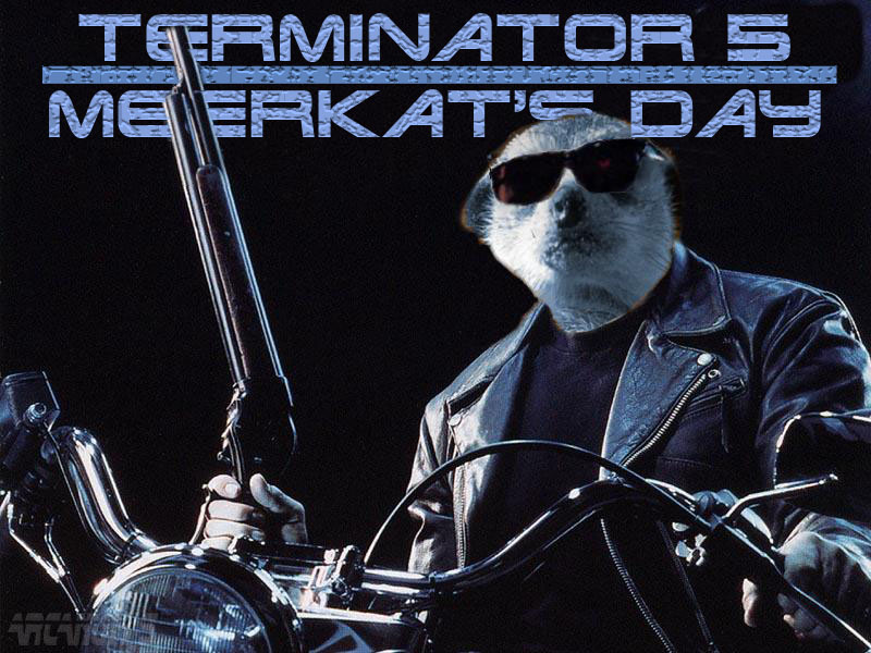 Terminator 5, Meerkat's day