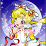 The Super Sailor Moon