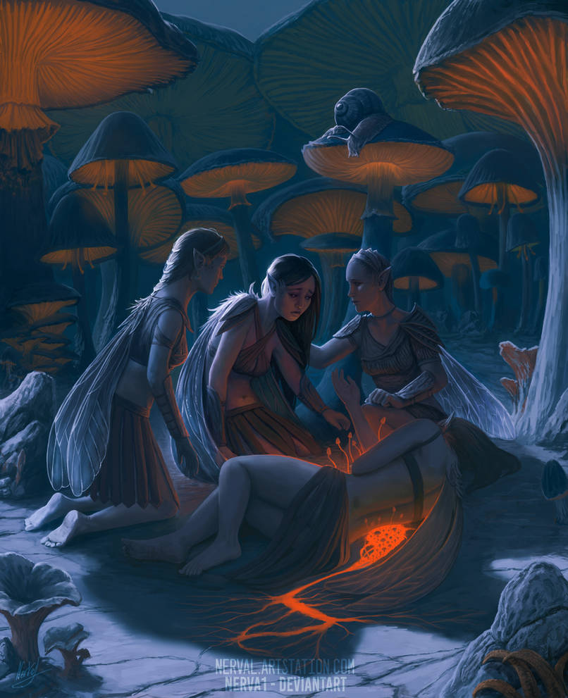 Lesser Faeries The Wild ones (Faeries) - Rite of Passage by Nerva1 on DeviantArt