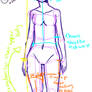 how to draw: the female body