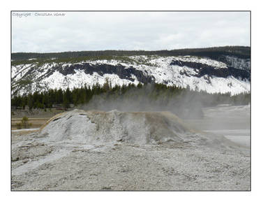 Sponge Geyser