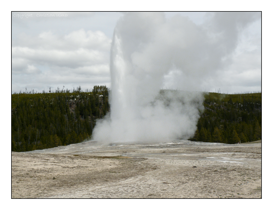 Old Faithful - I