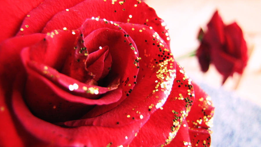 Red Roses by fasusu on DeviantArt