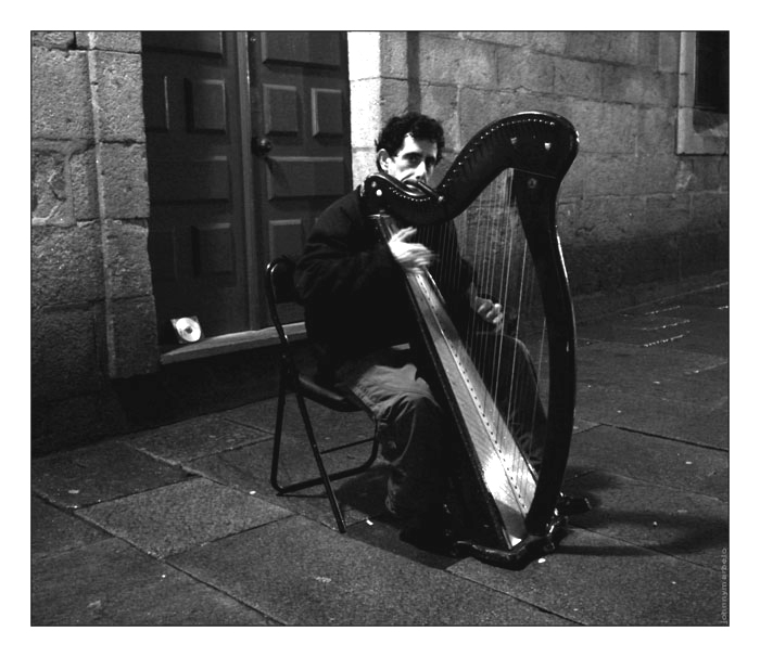 the harpist