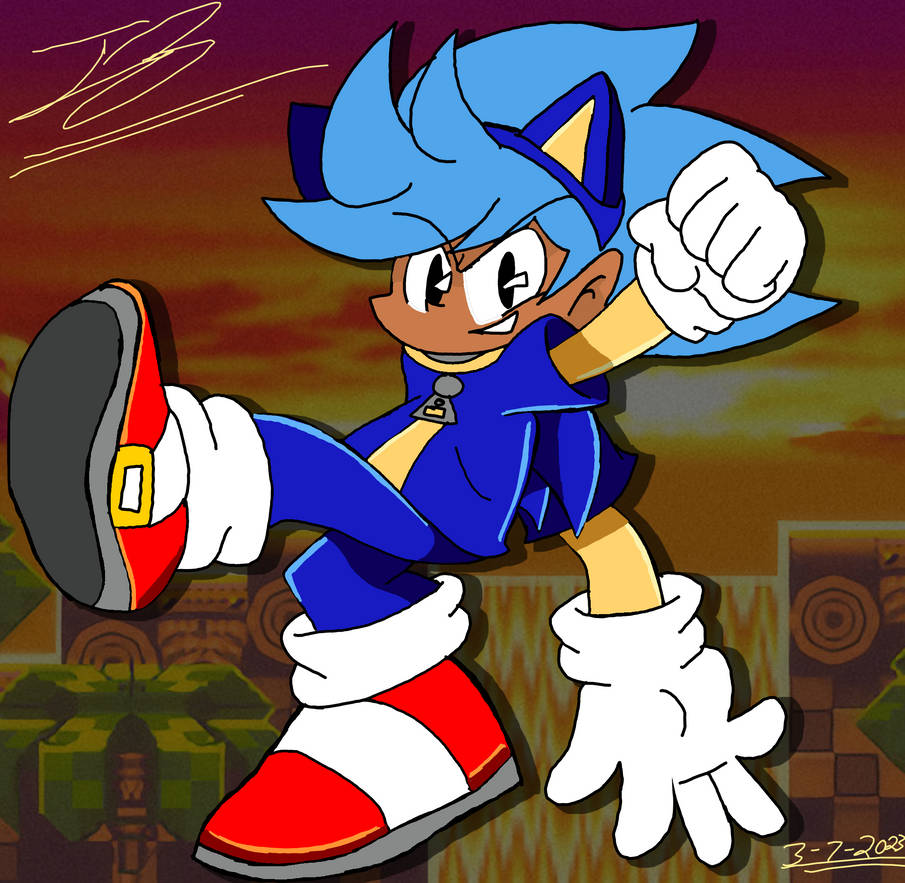 Sonic Rocker Rock as Sonic by Popstarbird25 on DeviantArt
